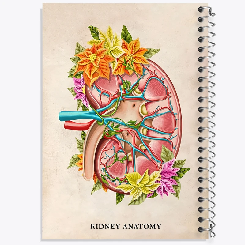 دفتر ژورنال نویسی 50 برگ خندالو مدل نقطه ای طرح آناتومی کلیه (kidney Anatomy) کد F14005