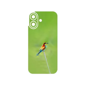 MAHOOT European bee-eater Cover Sticker for Apple iPhone 17