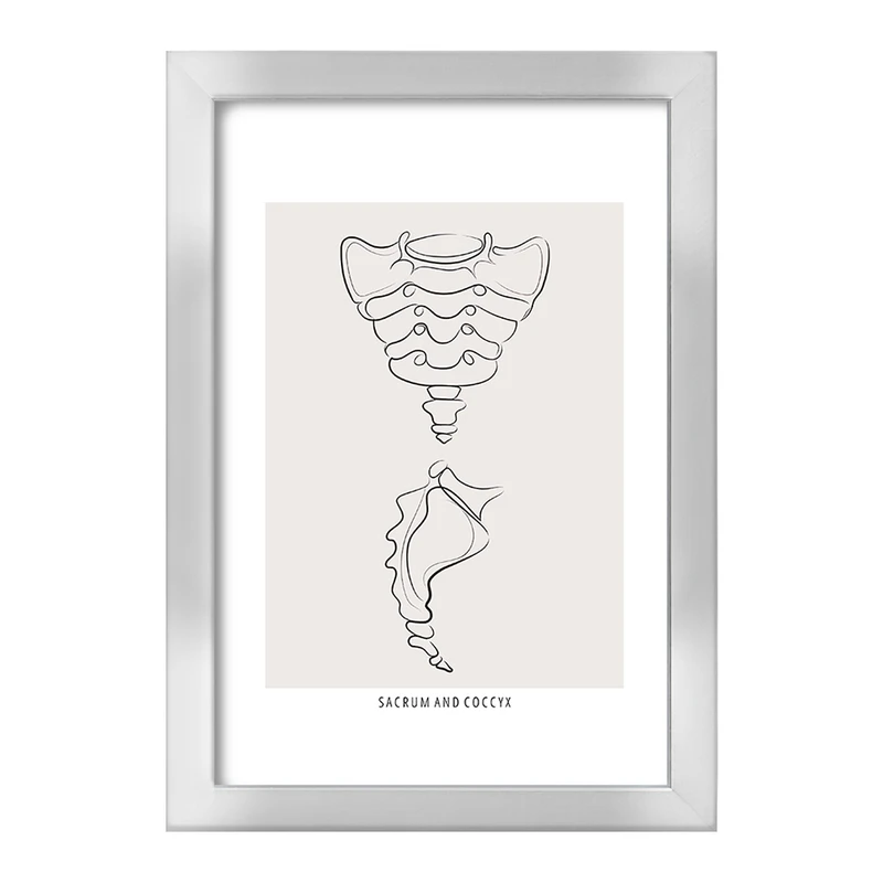 تابلو خندالو طرح آناتومی استخوان خاجی (Sacrum And Coccyx Anatomy) کد F13918
