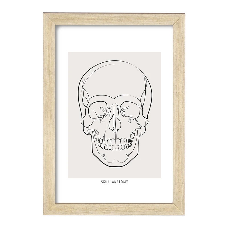 تابلو خندالو طرح آناتومی اسکلت سر (Skull Anatomy) کد F13893