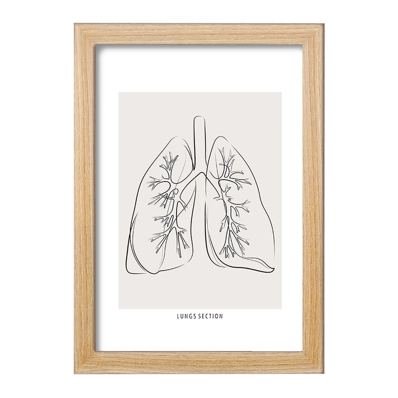 تابلو خندالو طرح آناتومی ریه ها (Lungs Anatomy) کد F13899