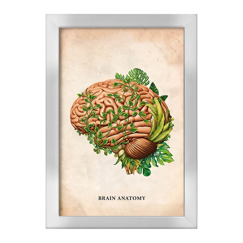 تابلو خندالو طرح آناتومی مغز (Brain Anatomy) کد F13984
