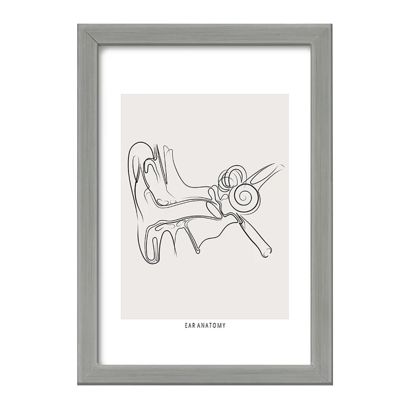 تابلو خندالو طرح آناتومی گوش (Ear Anatomy) کد F13932