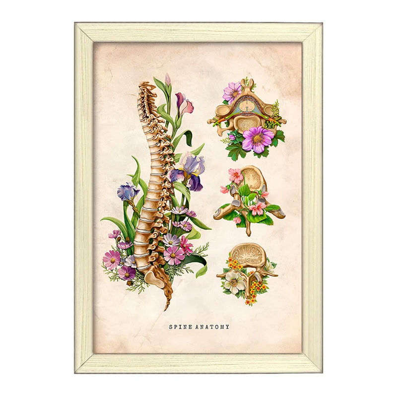 تابلو خندالو طرح آناتومی ستون فقرات (Spine Anatomy) کد F13967