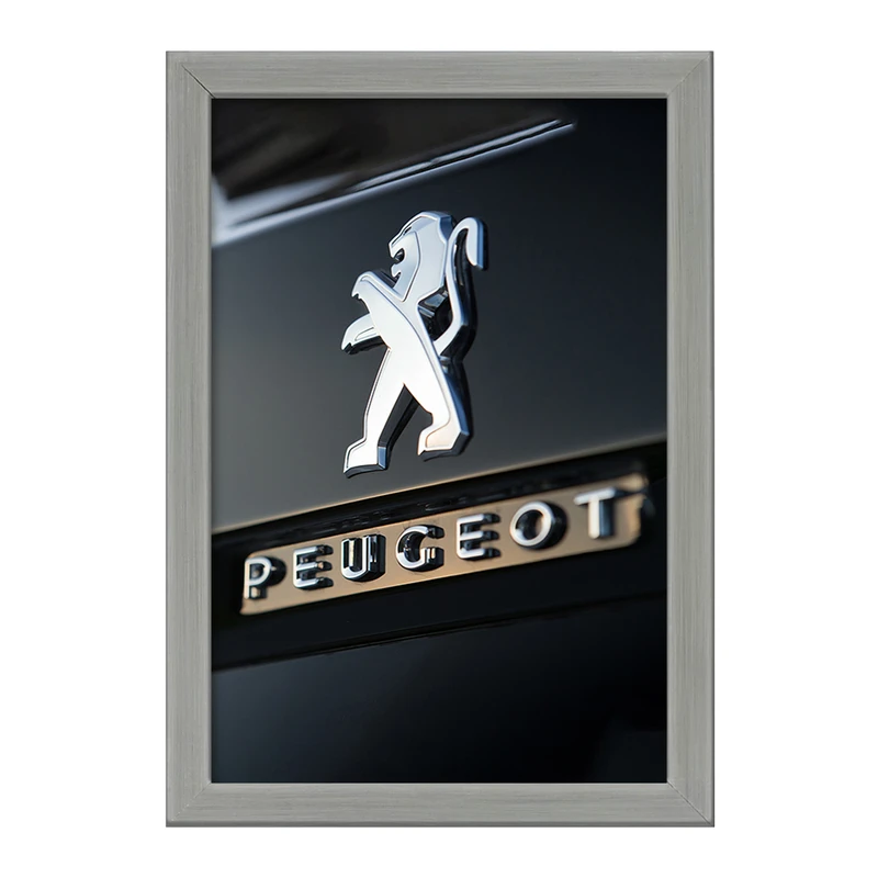 تابلو خندالو طرح پژو Peugeot کد 23649