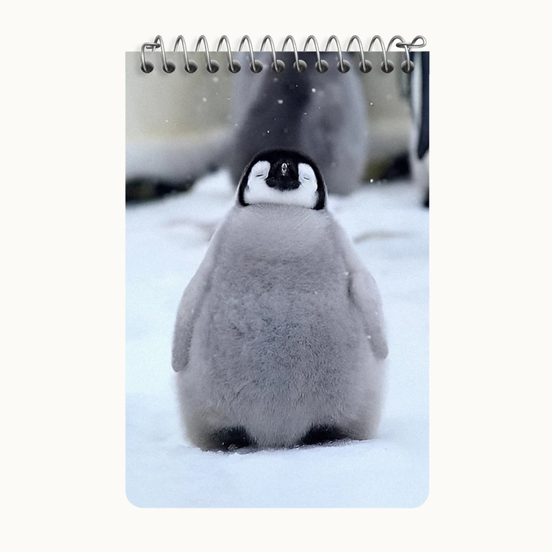 دفتر یادداشت 50 برگ خندالو طرح پنگوئن کد F11104