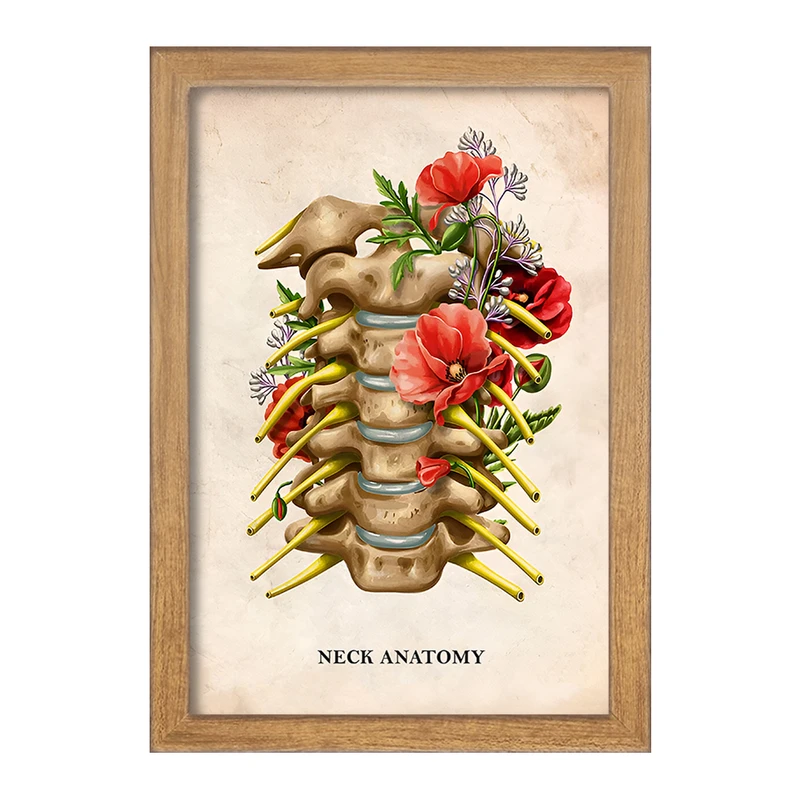 تابلو خندالو طرح آناتومی گردن (Neck Anaotomy) کد F13989
