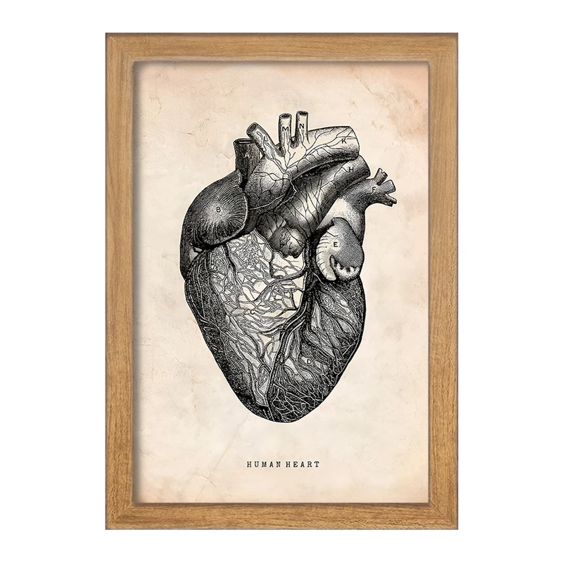 تابلو خندالو طرح آناتومی قلب (Heart Anatomy) کد F13941