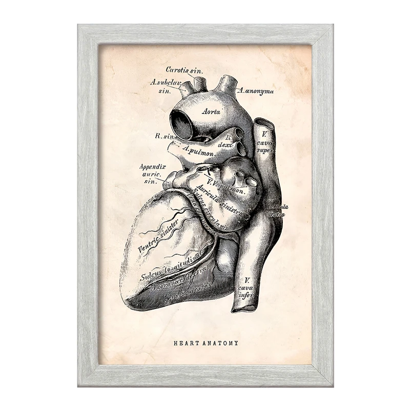 تابلو خندالو طرح آناتومی قلب (Heart Anatomy) کد F13944