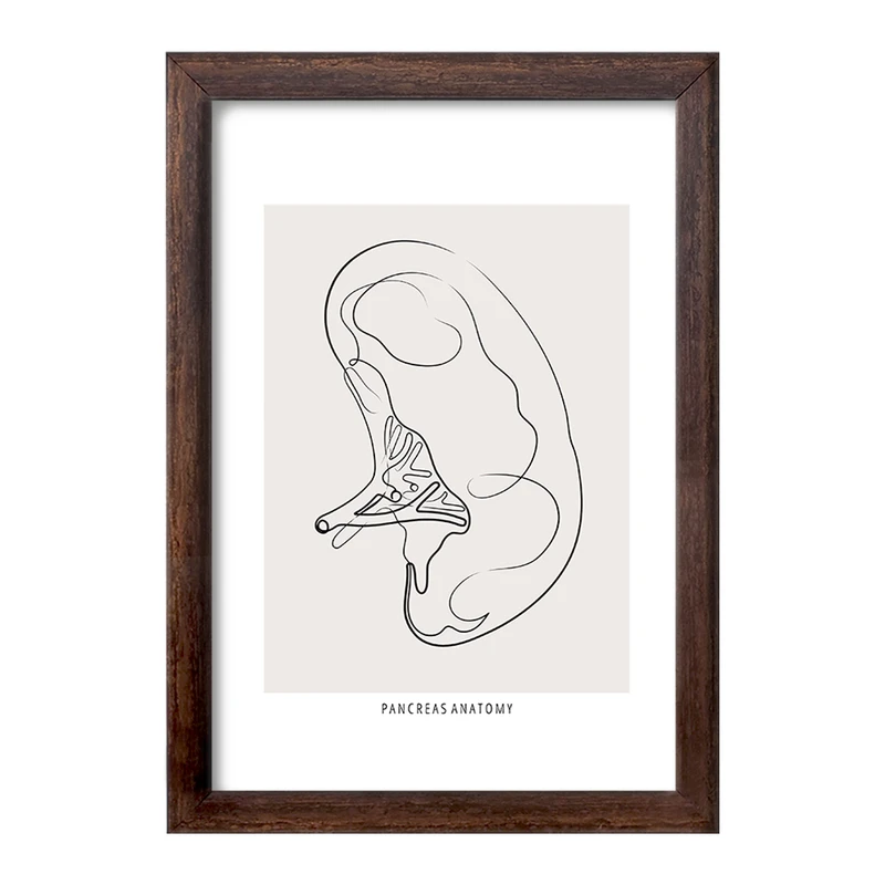 تابلو خندالو طرح آناتومی پانکراس (Pancreas Anatomy) کد F13902