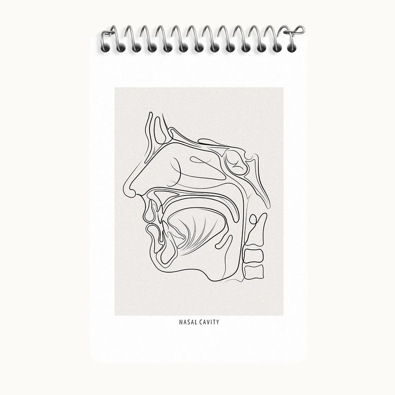دفتر یادداشت 50 برگ خندالو طرح حفره بینی (Nasal Cavity) کد F13931