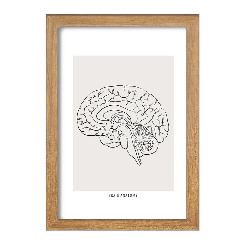 تابلو خندالو طرح آناتومی مغز (Brain Anatomy) کد F13891