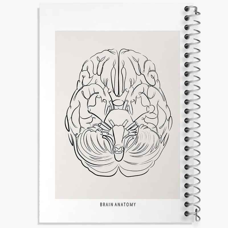 دفتر مشق 50 برگ خندالو طرح آناتومی مغز (Brain Anatomy) کد F13890