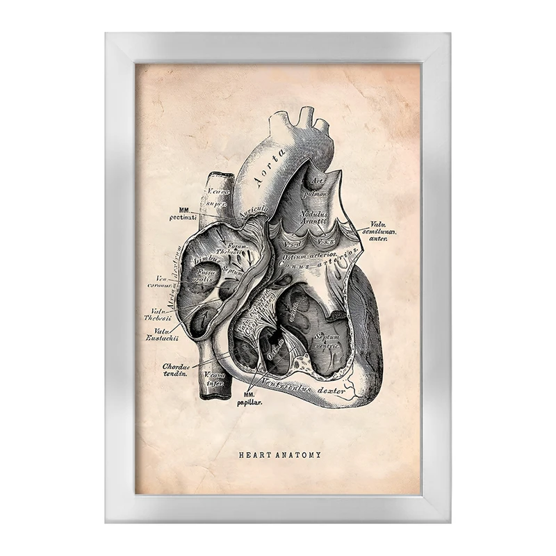 تابلو خندالو طرح آناتومی قلب (Heart Anatomy) کد F13943