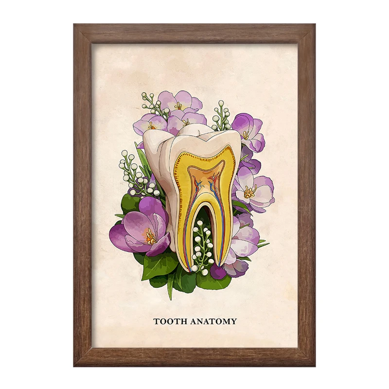 تابلو خندالو طرح آناتومی دندان (Tooth Anatomy) کد F14018