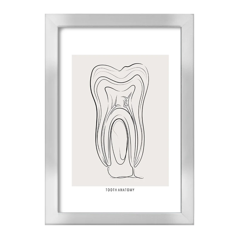 تابلو خندالو طرح آناتومی دندان (Tooth Anatomy) کد F13937