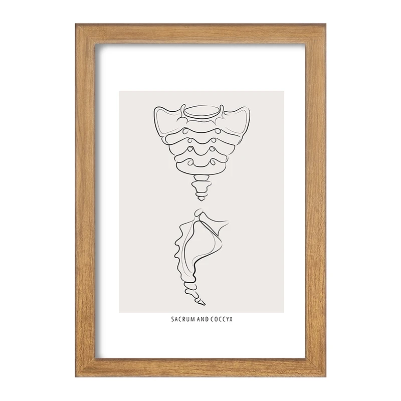 تابلو خندالو طرح آناتومی استخوان خاجی (Sacrum And Coccyx Anatomy) کد F13918