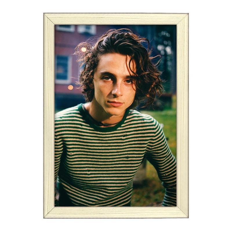 تابلو خندالو طرح تیموتی شالامی Timothée Chalamet  کد 19296