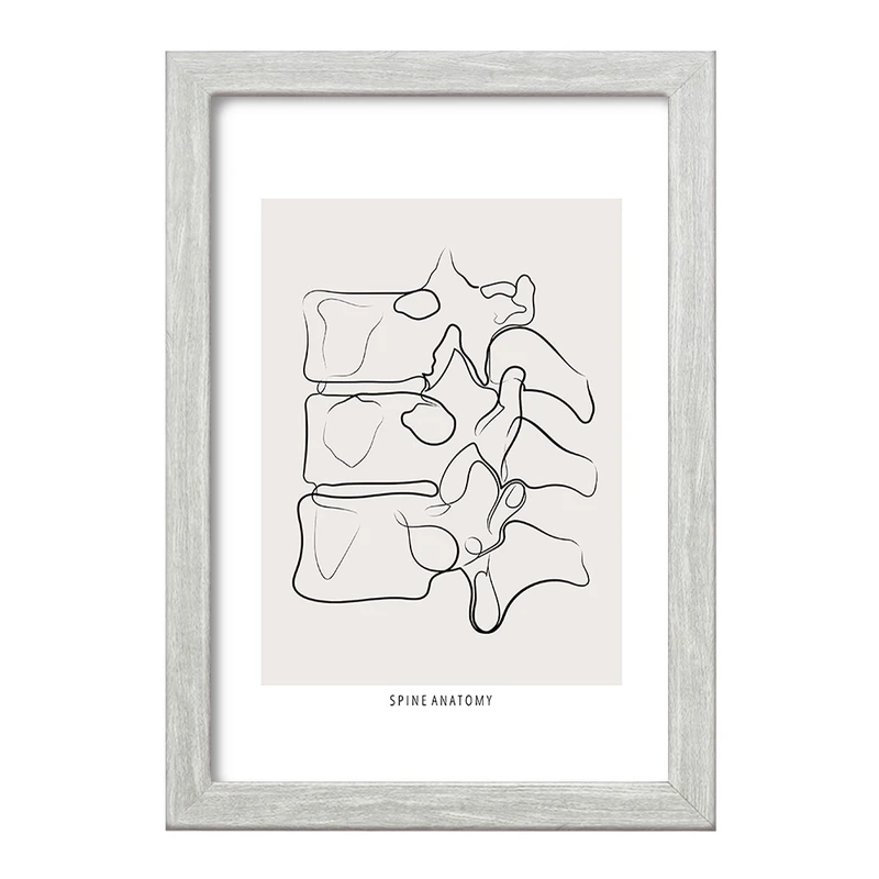 تابلو خندالو طرح آناتومی ستون فقرات (Spine Anatomy) کد F13910