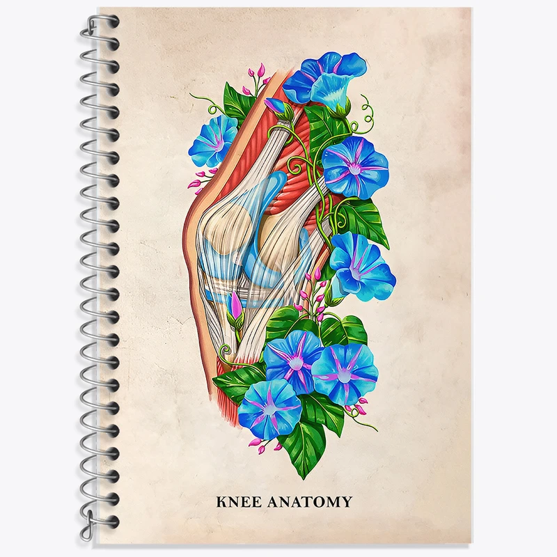 دفتر زبان 50 برگ خندالو مدل دو خط طرح آناتومی زانو (Knee Anatomy) کد F13998