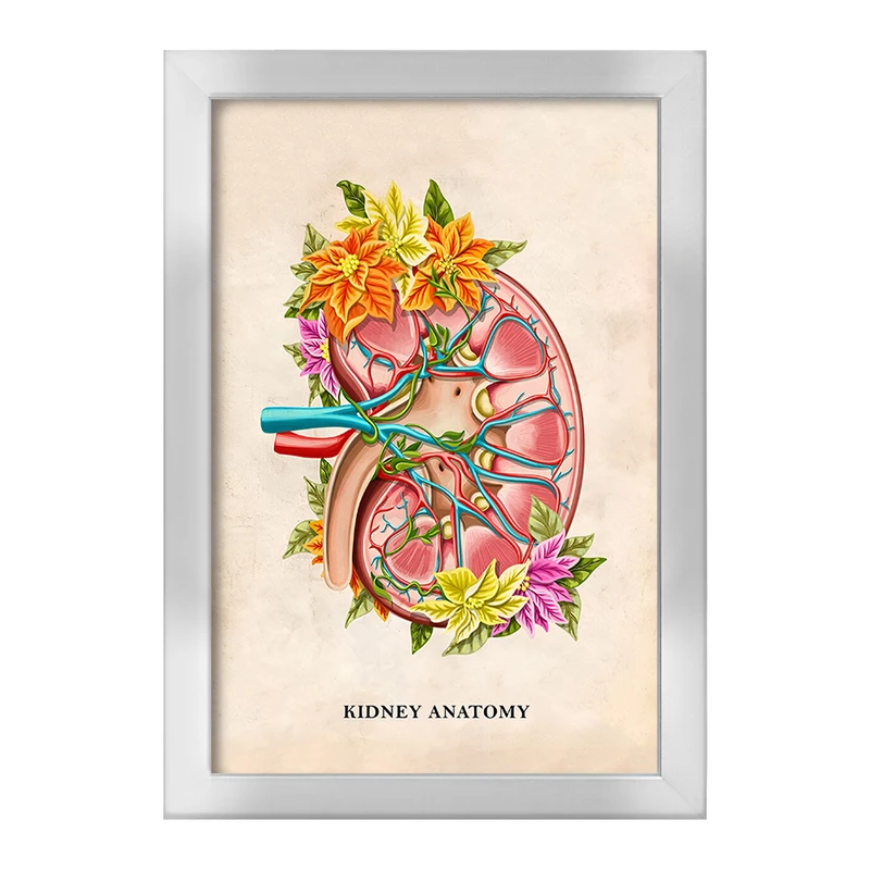 تابلو خندالو طرح آناتومی کلیه (kidney Anatomy) کد F14005