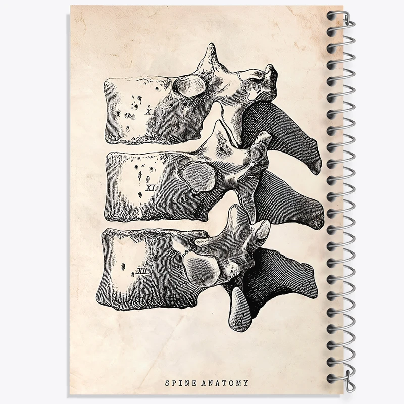 دفتر مشق 50 برگ خندالو طرح آناتومی ستون فقرات (Spine Anatomy) کد F13954