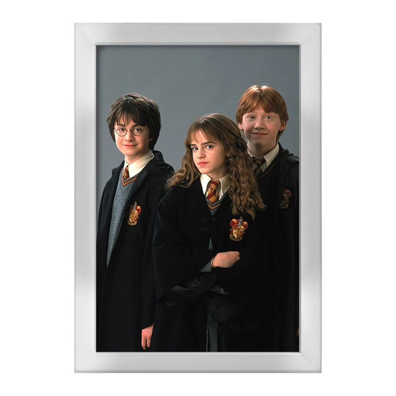 تابلو خندالو طرح هری پاتر Harry Potter  کد 19363