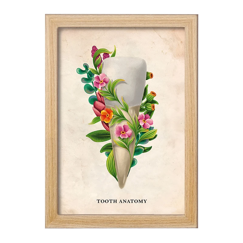 تابلو خندالو طرح آناتومی دندان (Tooth Anatomy) کد F13982