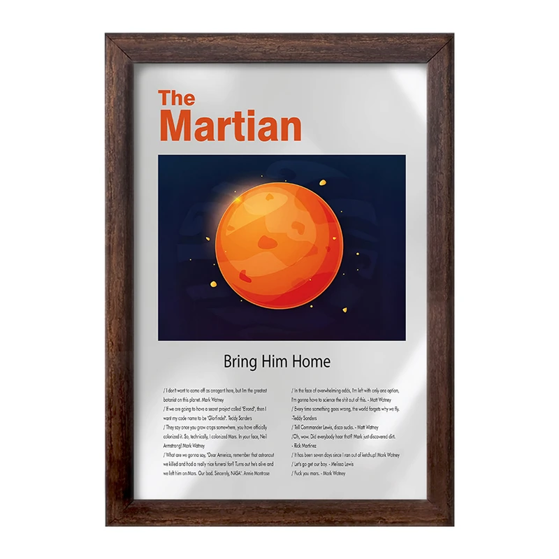 تابلو خندالو طرح مریخی (The Martian) کد F13856