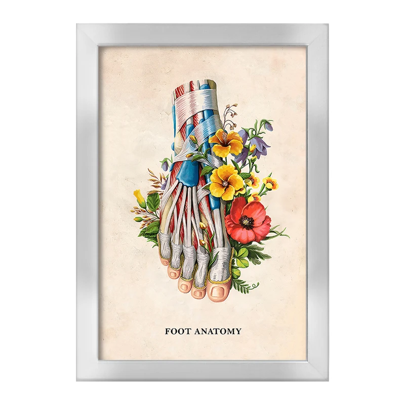 تابلو خندالو طرح آناتومی پا (Foot Anatomy) کد F14013