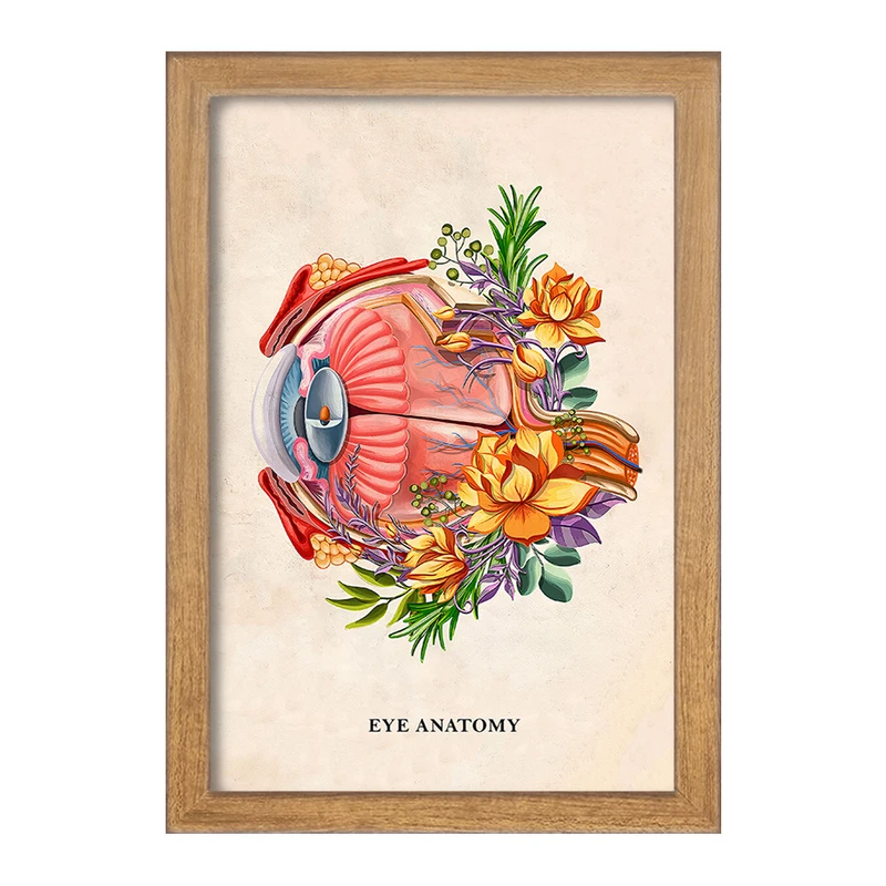 تابلو خندالو طرح آناتومی چشم (Eye Anatomy) کد F14014