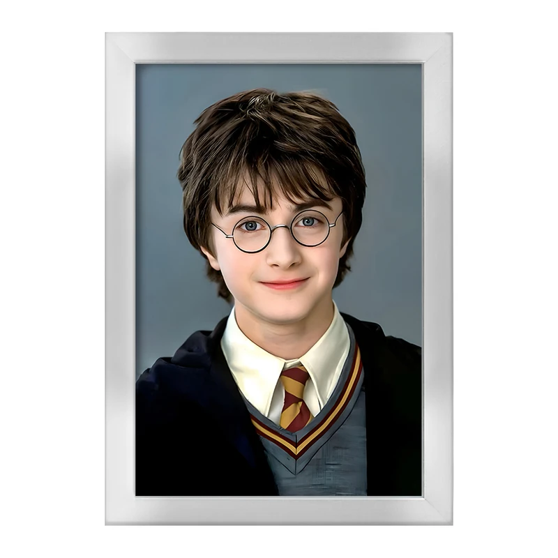تابلو خندالو طرح هری پاتر (Harry Potter) کد F6002
