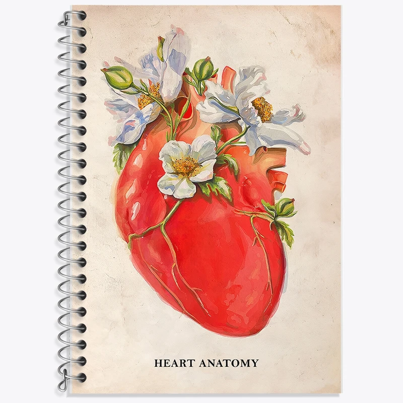 دفتر لغت 50 برگ خندالو طرح آناتومی قلب (Heart Anatomy) کد F14006
