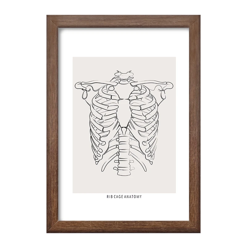 تابلو خندالو طرح آناتومی قفسه سینه (Rib Cage Anatomy) کد F13920