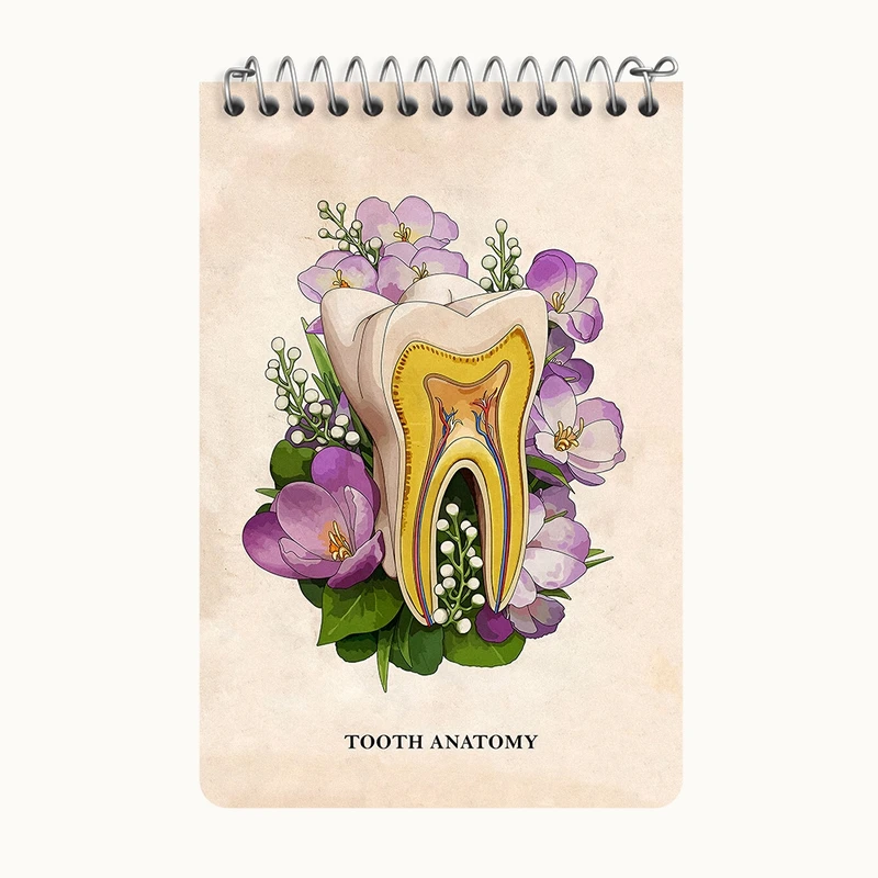دفتر یادداشت 50 برگ خندالو طرح آناتومی دندان (Tooth Anatomy) کد F14018
