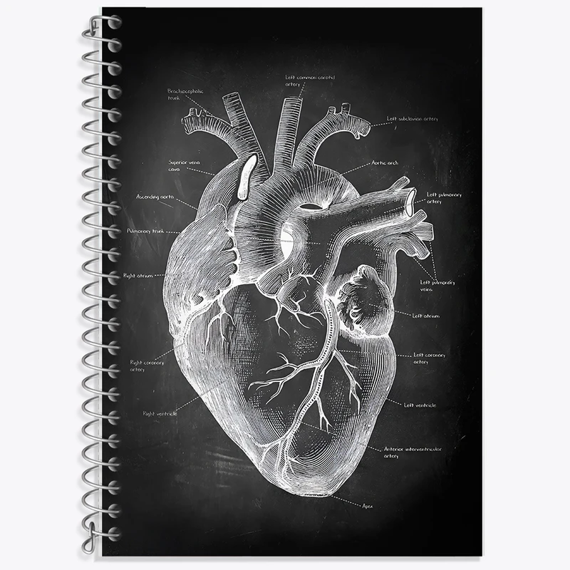 دفتر زبان دوخط 50 برگ خندالو طرح آناتومی قلب (Heart Anatomy) کد F13957