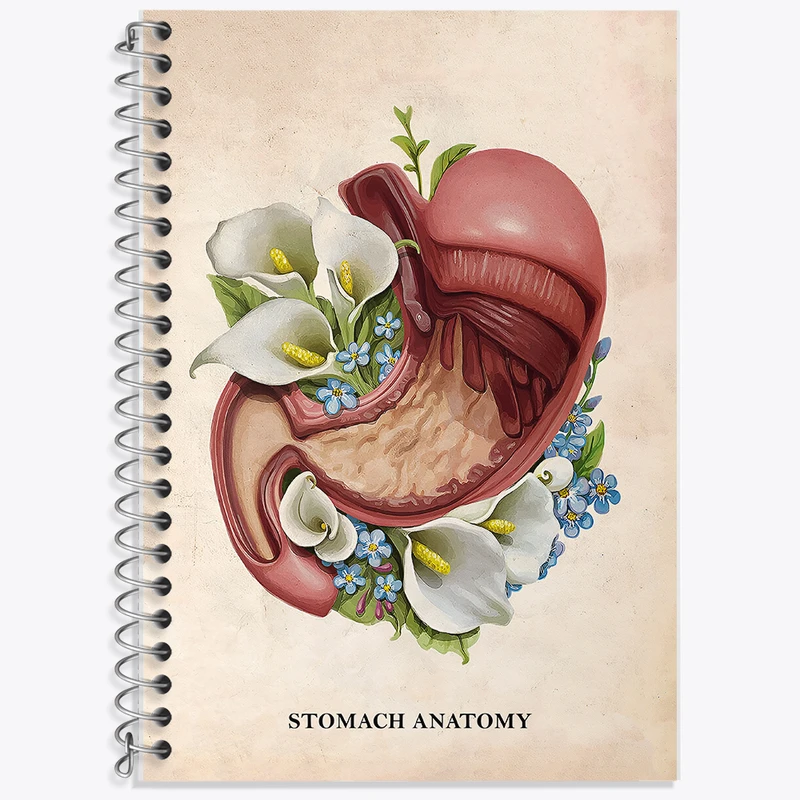 دفتر نت موسیقی 50 برگ خندالو طرح آناتومی معده (Stomach Anatomy) کد F14009