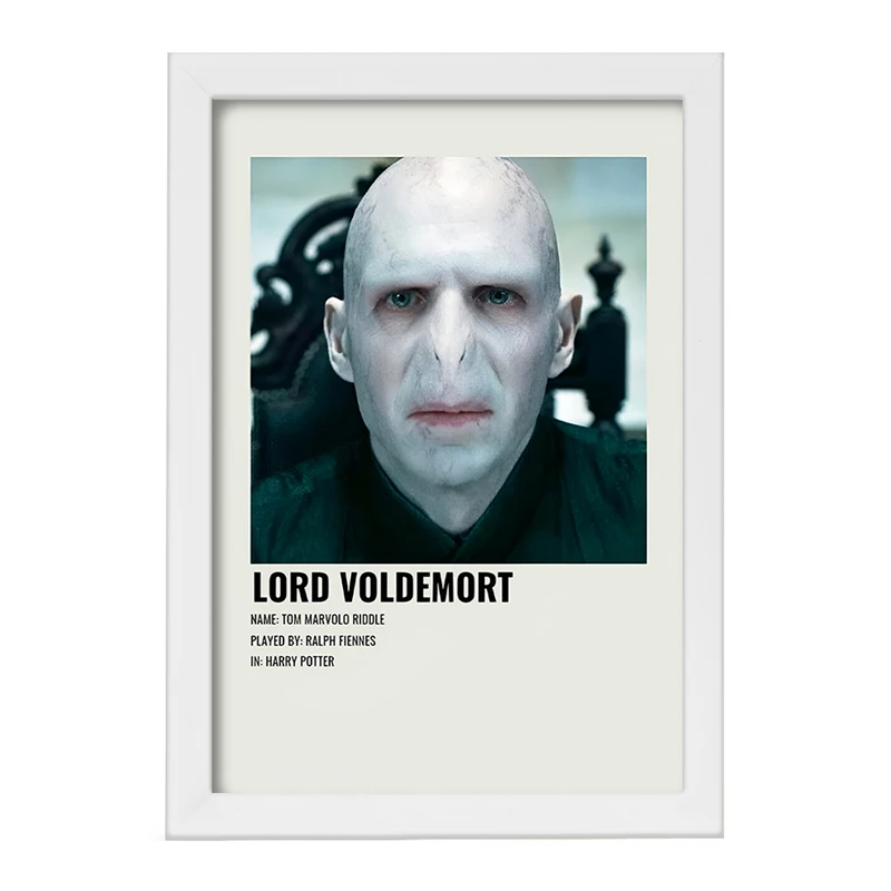 تابلو خندالو طرح لرد ولدمورت (Lord Voldemort) کد F13403