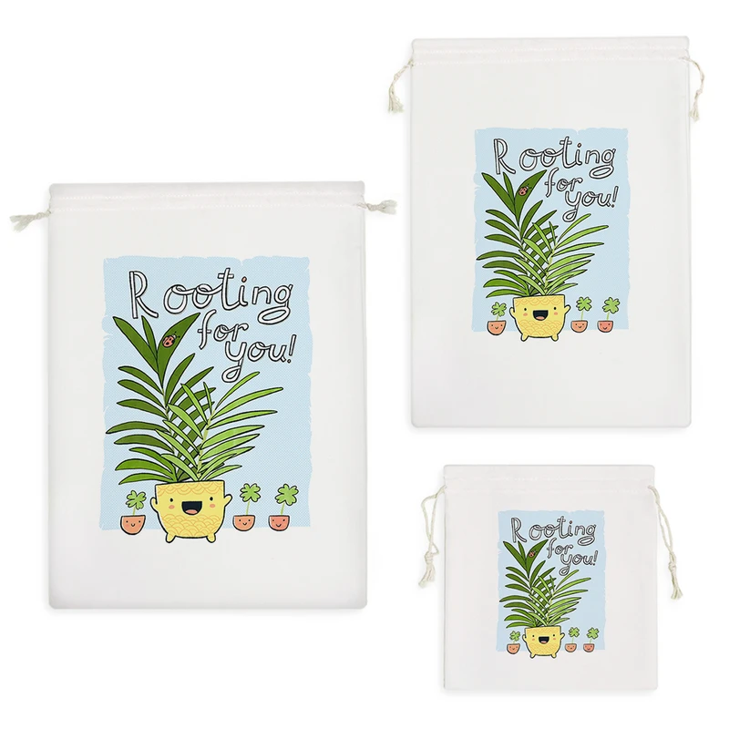 نظم دهنده خندالو مدل کاکتوس کد H1851 مجموعه 3 عددی