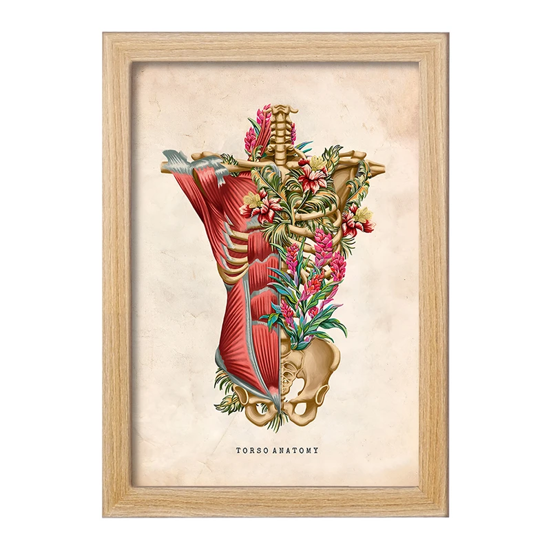 تابلو خندالو طرح آناتومی تروسو (Troso System) کد F13964