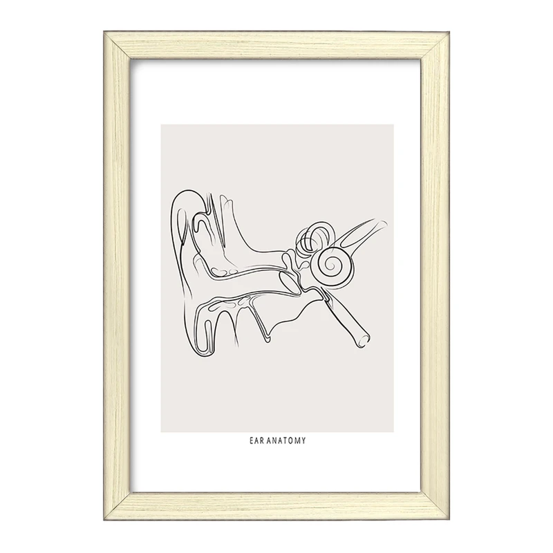 تابلو خندالو طرح آناتومی گوش (Ear Anatomy) کد F13932