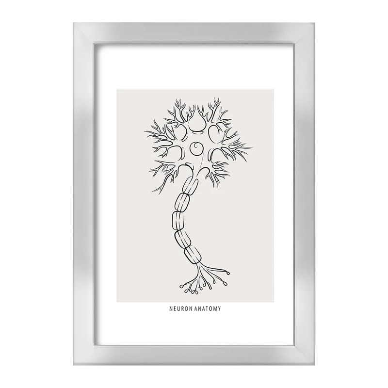 تابلو خندالو طرح آناتومی نورون (Neuron Anatomy) کد F13907
