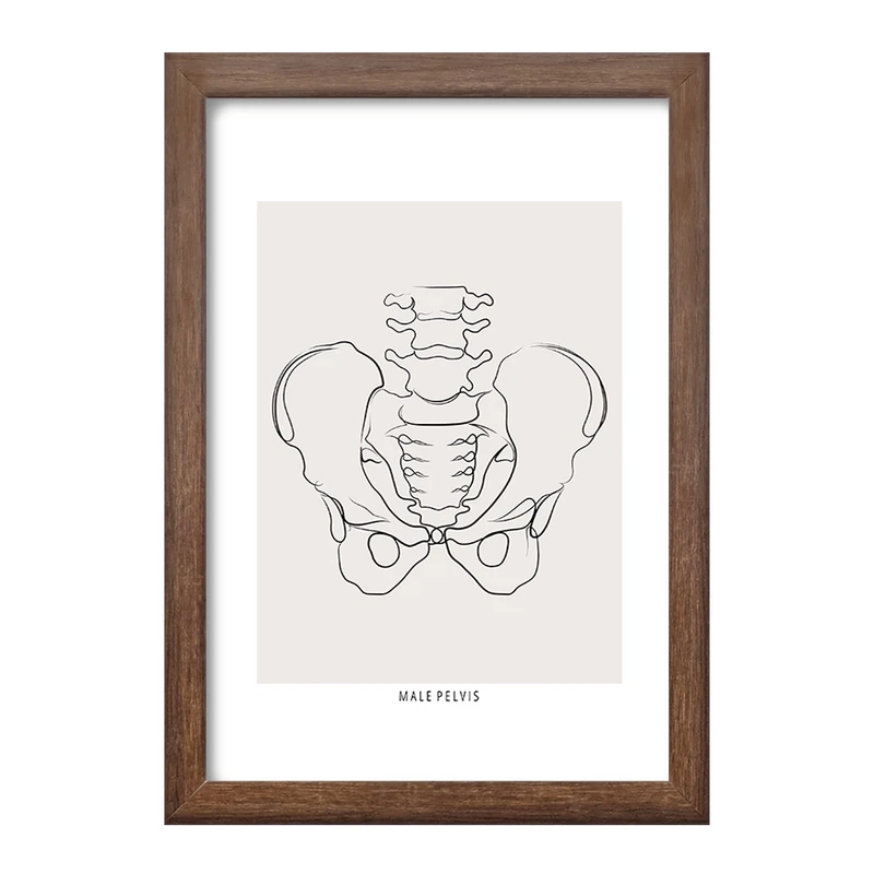 تابلو خندالو طرح آناتومی لگن (Pelvis Anatomy) کد F13912