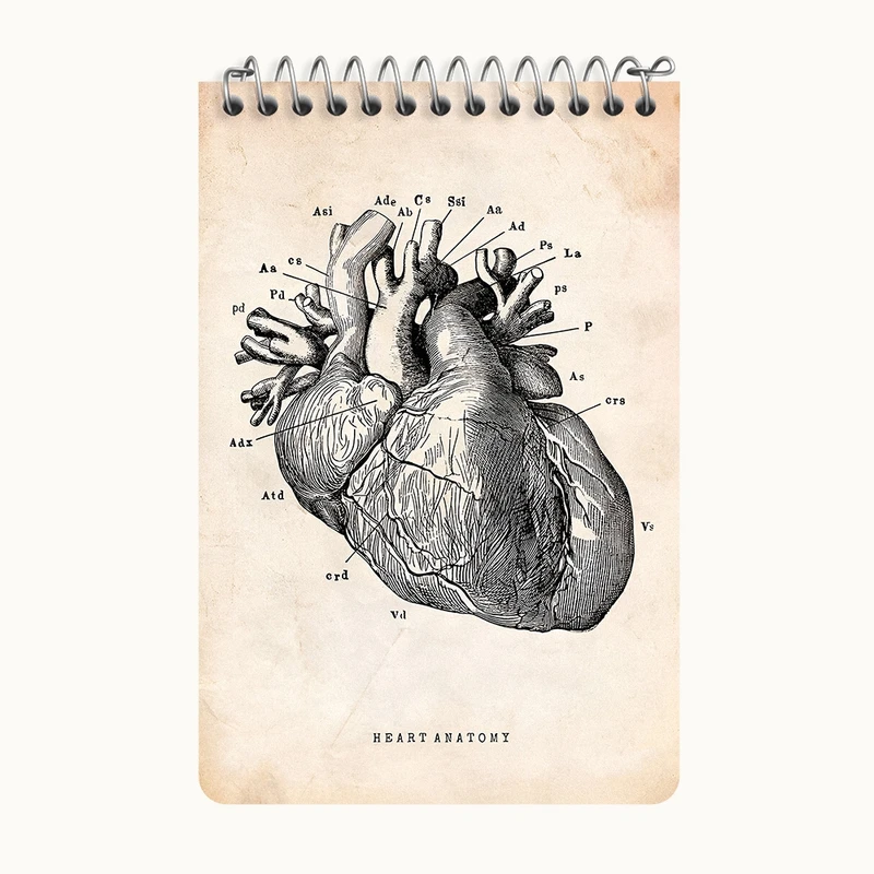 دفتر یادداشت 50 برگ خندالو طرح آناتومی قلب (Heart Anatomy) کد F13942