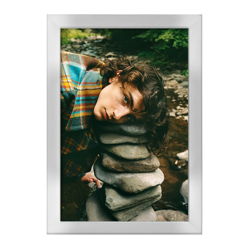 تابلو خندالو طرح تیموتی شالامی Timothée Chalamet  کد 19290