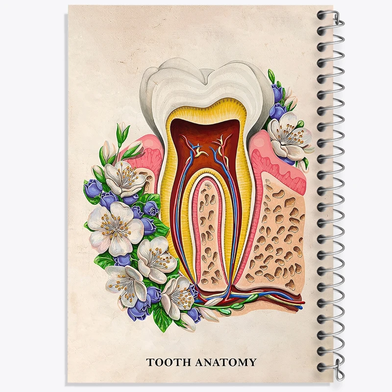 دفتر شطرنجی 50 برگ خندالو طرح آناتومی دندان (Tooth Anatomy) کد F14012