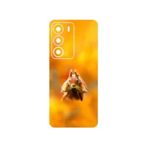 MAHOOT Squirrel Cover Sticker for Realme C71