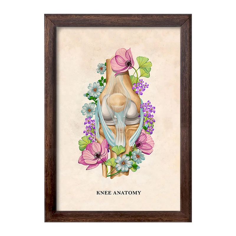 تابلو خندالو طرح آناتومی زانو (Knee Anatomy) کد F14023