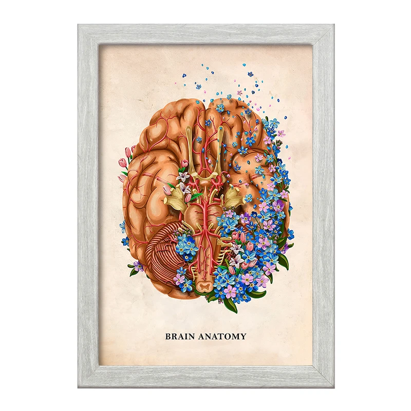 تابلو خندالو طرح آناتومی مغز (Brain Anatomy) کد F14008