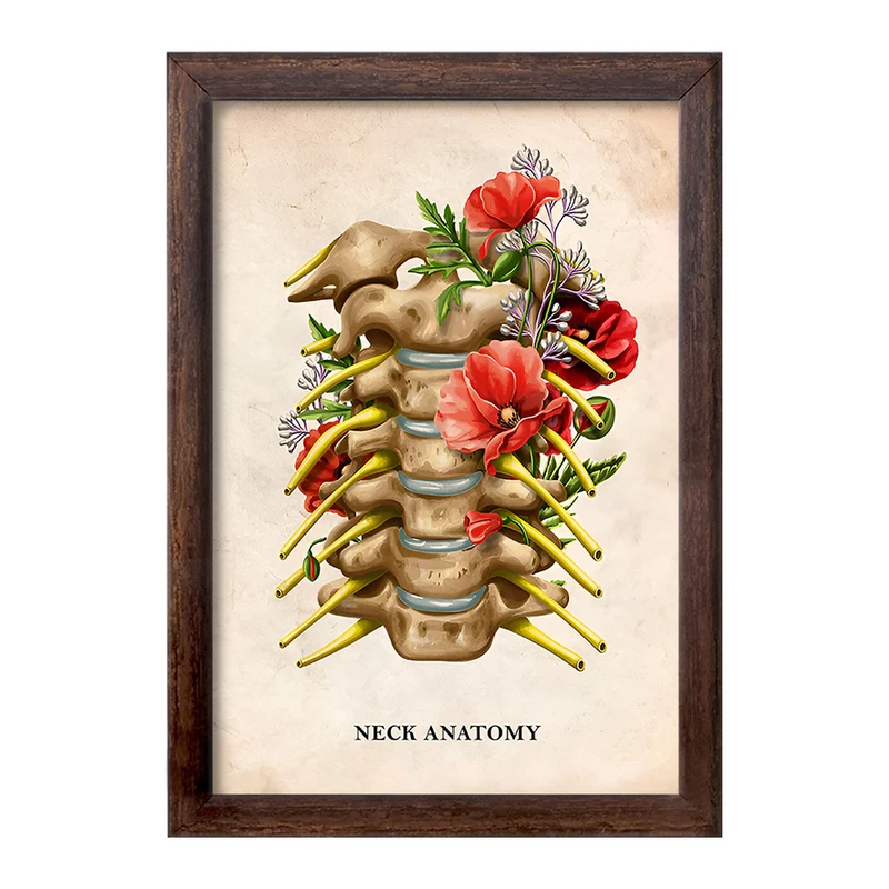 تابلو خندالو طرح آناتومی گردن (Neck Anaotomy) کد F13989
